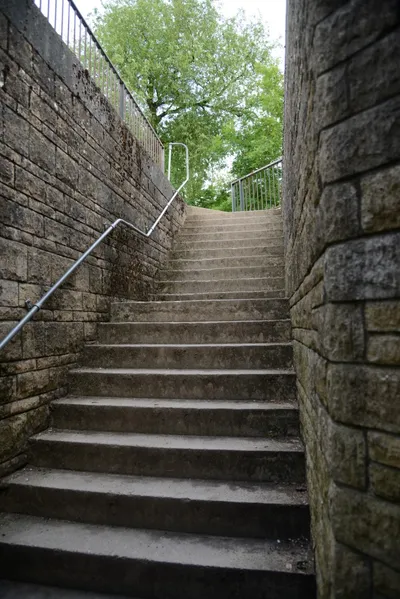 DSC_2712 (Large).JPG